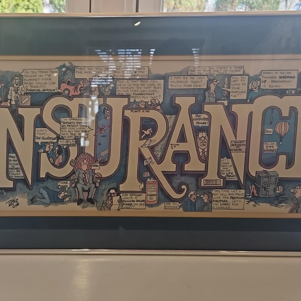 Insurance Comic Cartoon Poster By Peter 1986 Poster On Board Print Framed